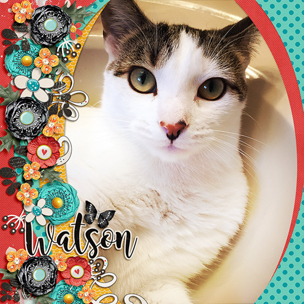 watson