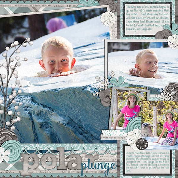wc_polarplunge