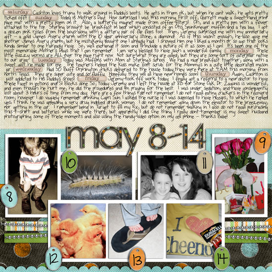 Week 20 P365