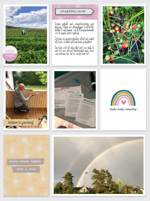 Week 23b 2024