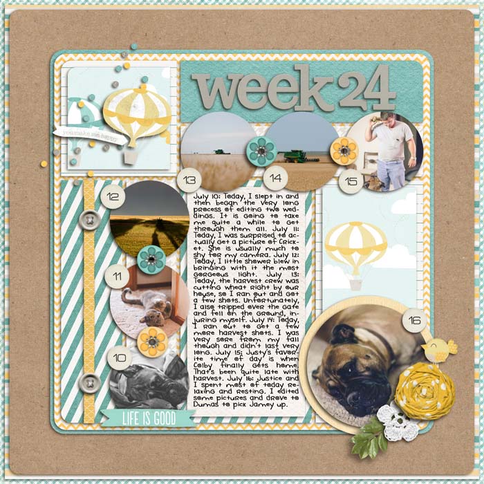 Week 24