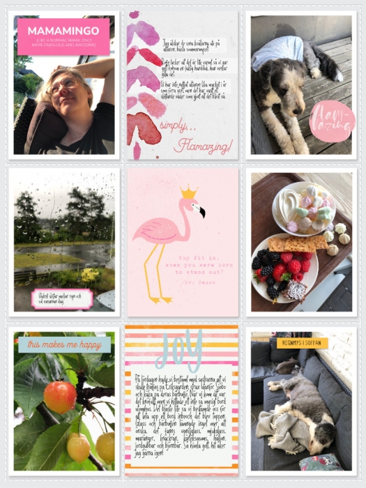 Week 26b 2024