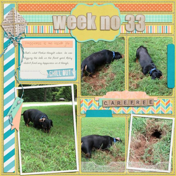 Week 33 2013 pg 1