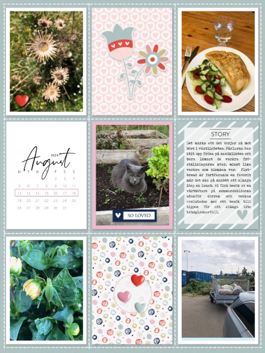 Week 33 a 2024