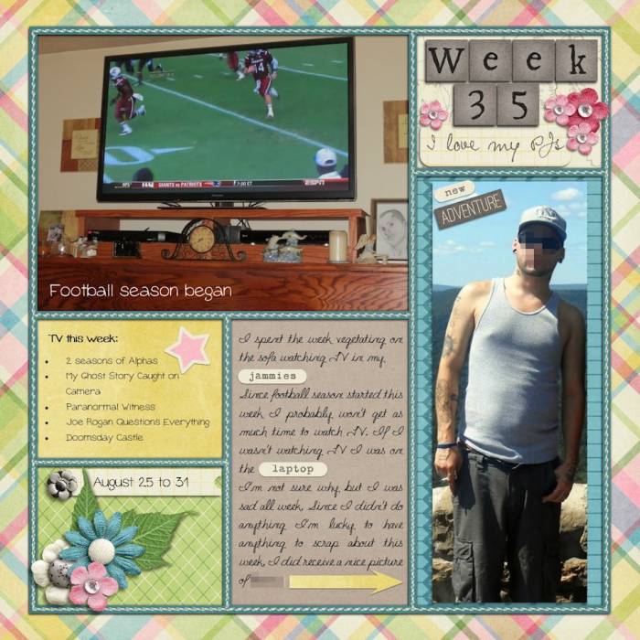 Week 35 2013
