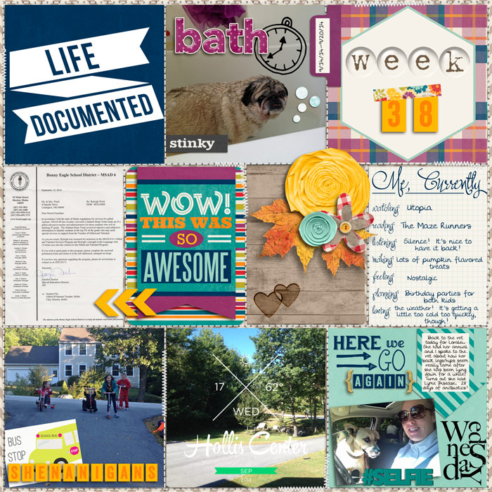 Week 38 Page 2
