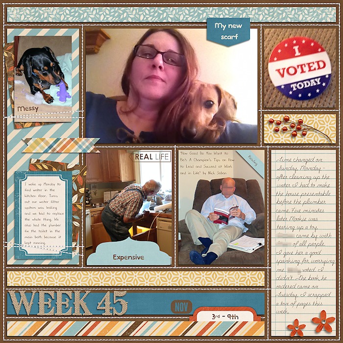 Week 45 2013