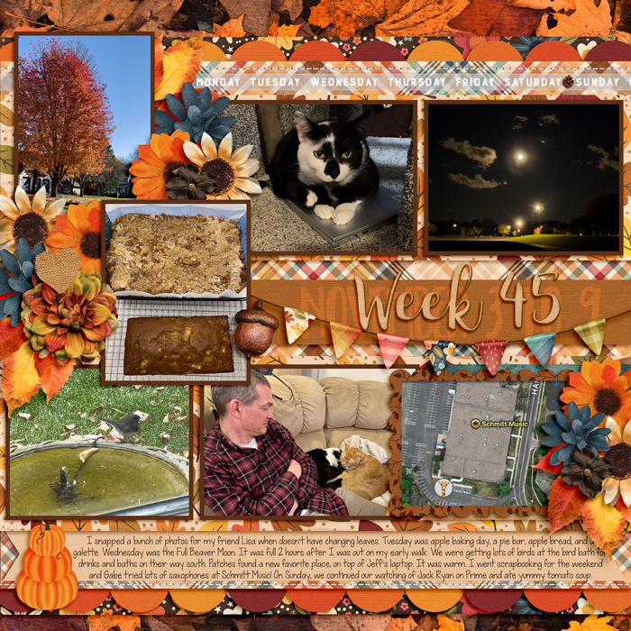 Week 45, 2025