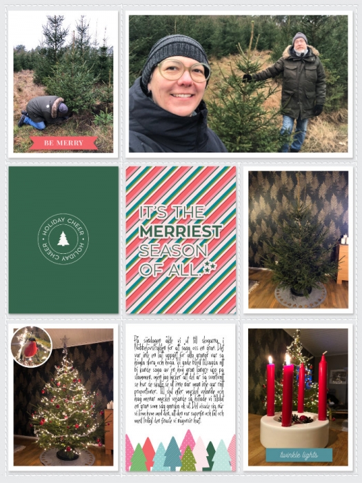 Week 49b 2024