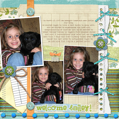 Welcome Bailey