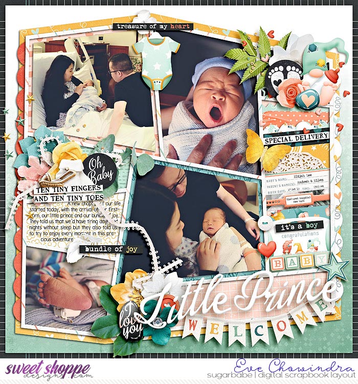 welcome little prince