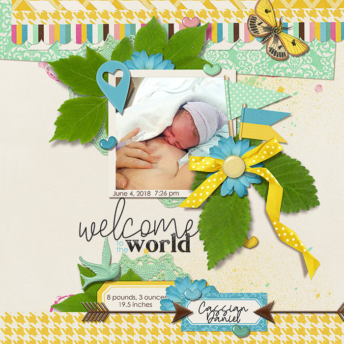welcome to the world
