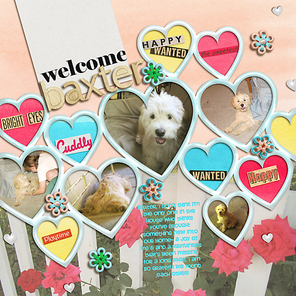 Welcome