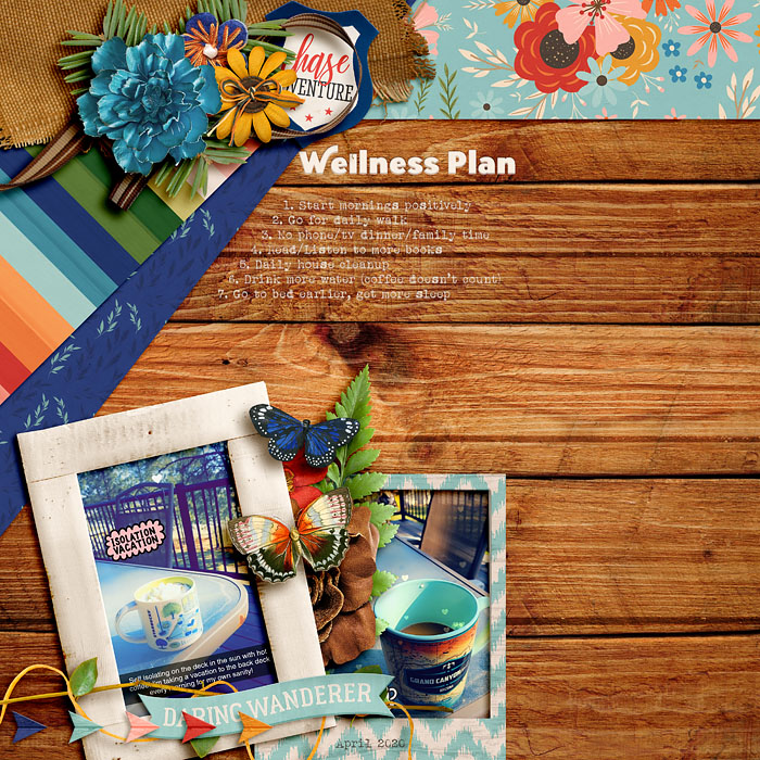 Wellness Plan