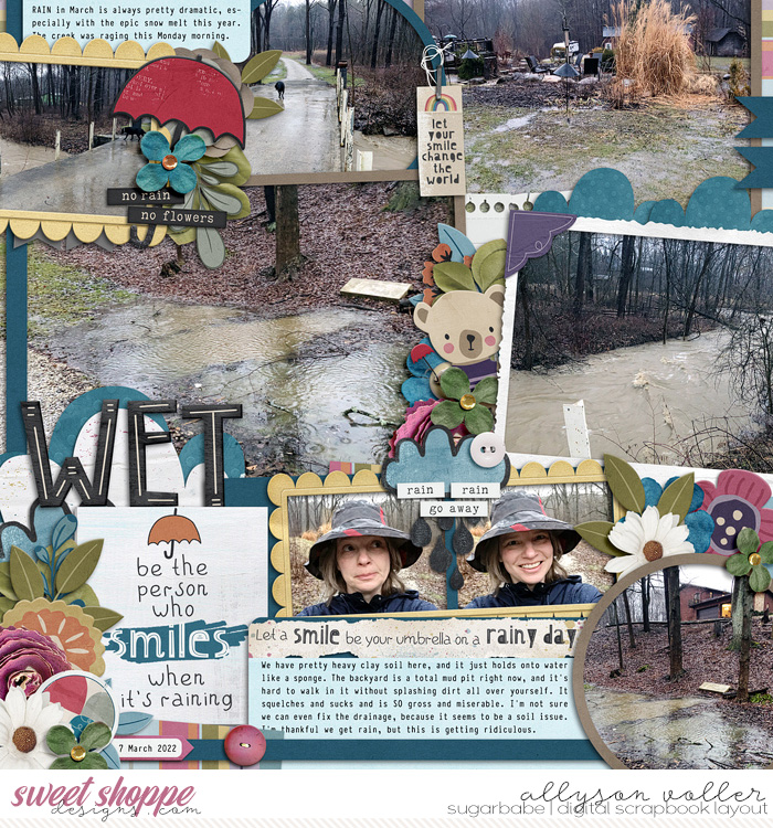 Wet