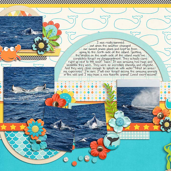 Whale Watching (left)