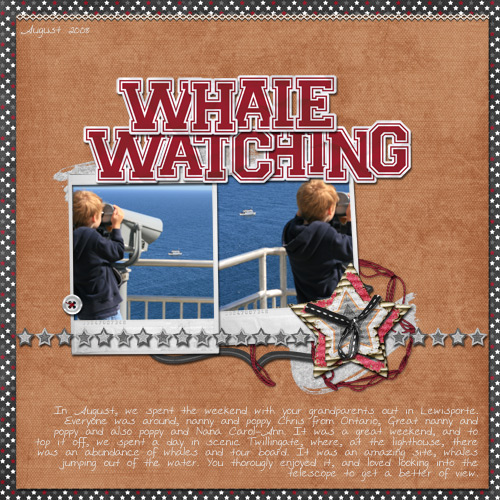 Whale Watching