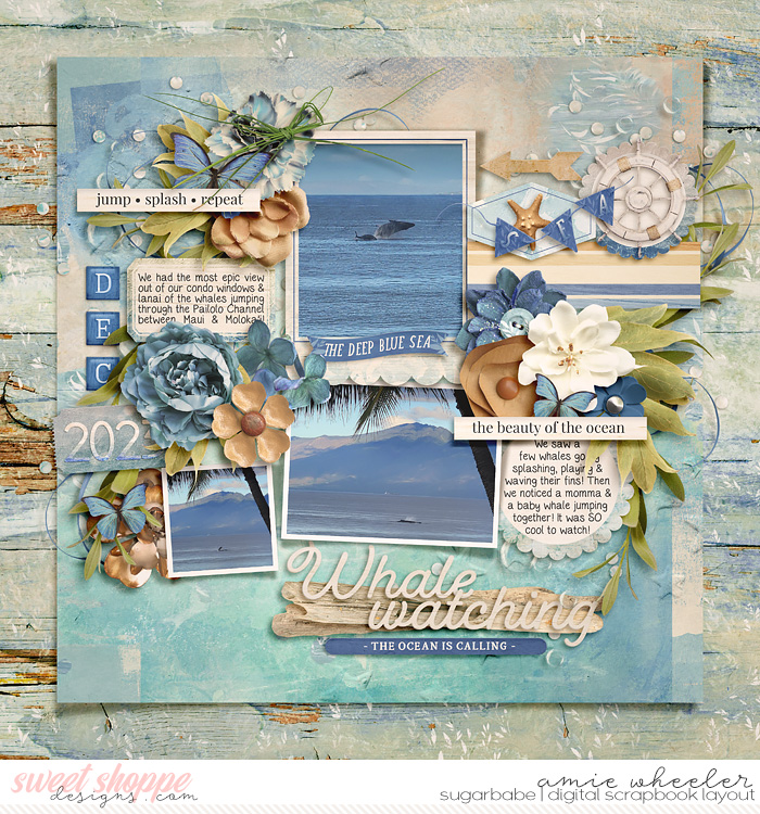 Whale Watching