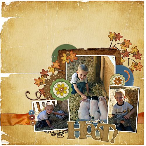 What a Hoot!