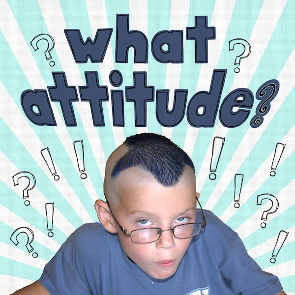 What Attitude?