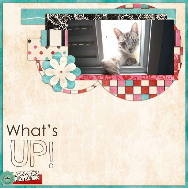 What's up ?