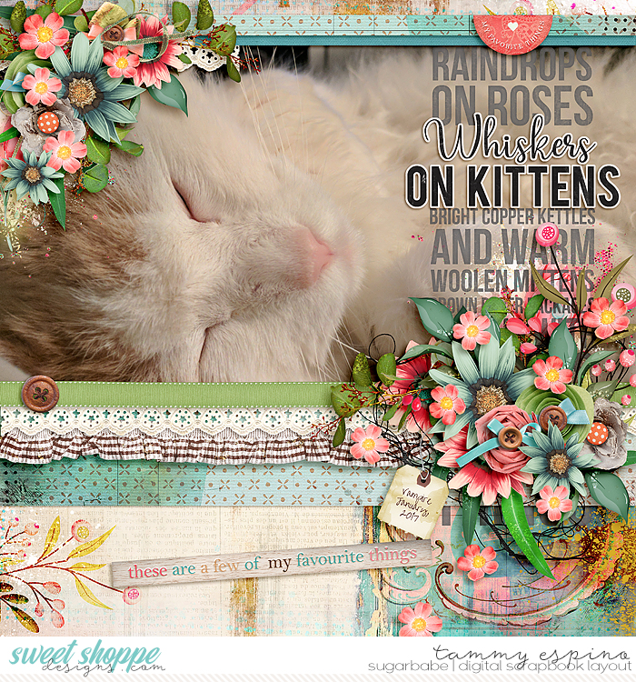 whiskers on kittens