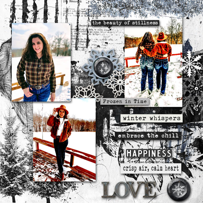 Whispers in the Snow