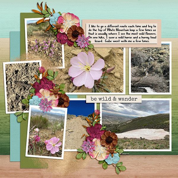 White Mountain Hikes