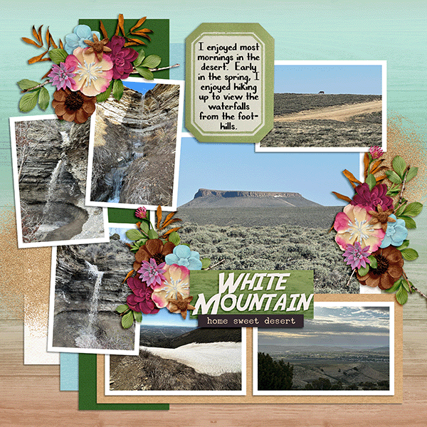 White Mountain Hikes