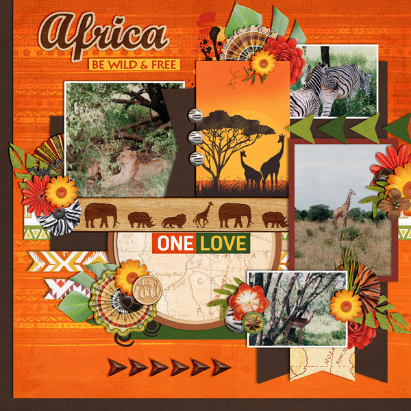 wild africa