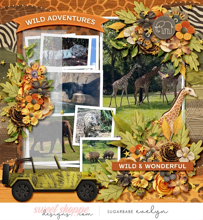 Wild and Wonderful