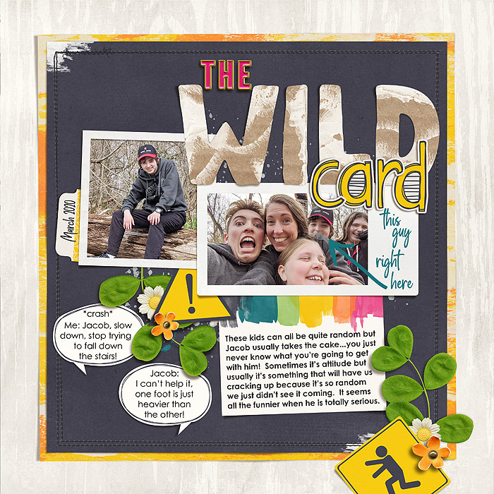 wild card