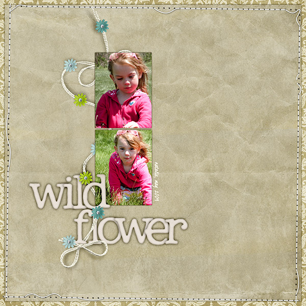 Wild Flower