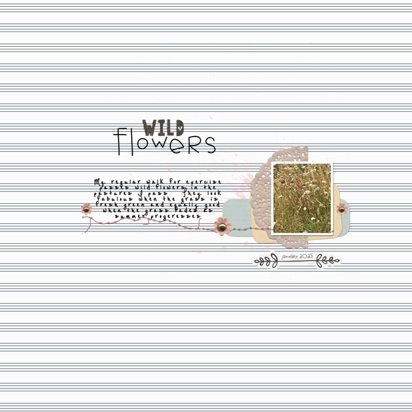 wild flowers