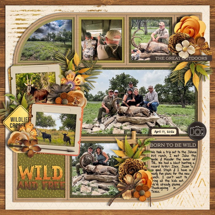 Wild & Free