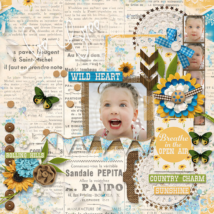 Wild Heart