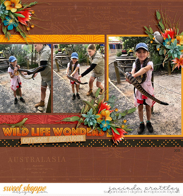 Wild life wonders
