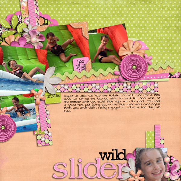 Wild Slider