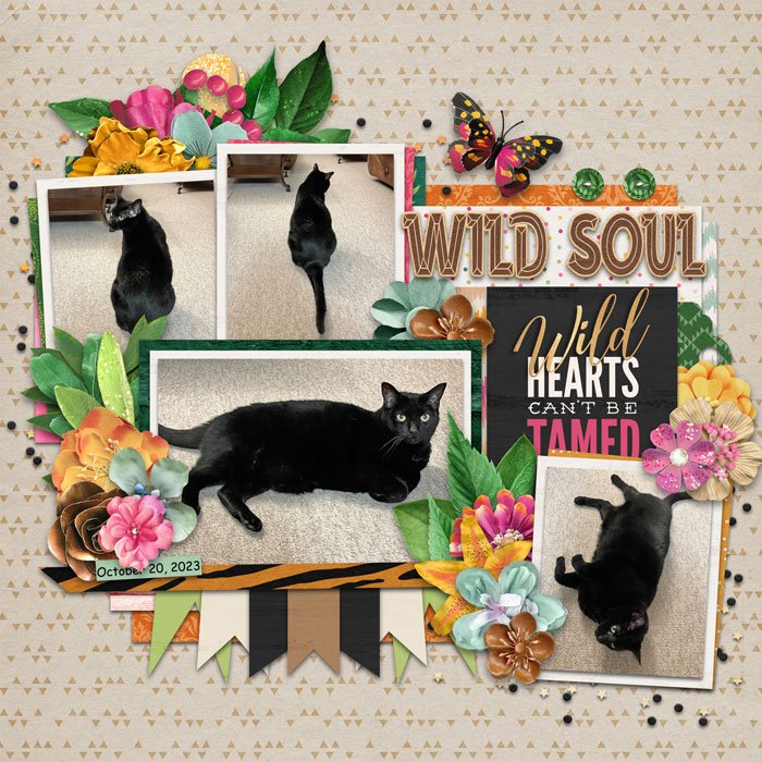Wild Soul