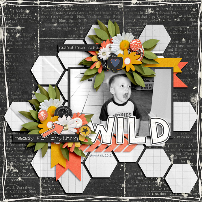 Wild