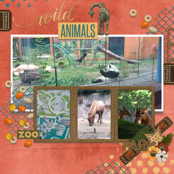 Wild_animals