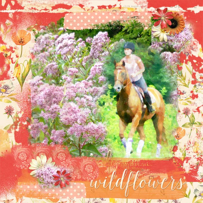 Wildflower Ride