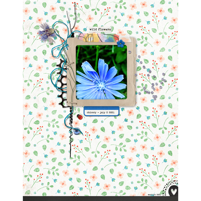 Wildflower