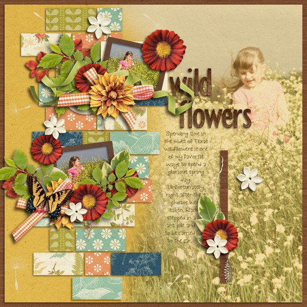 Wildflowers