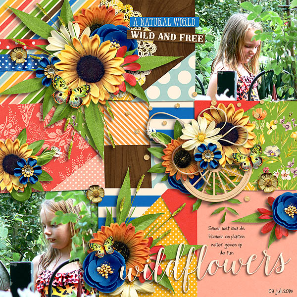 Wildflowers