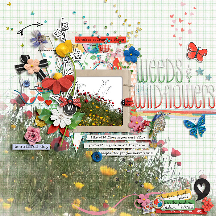 Wildflowers