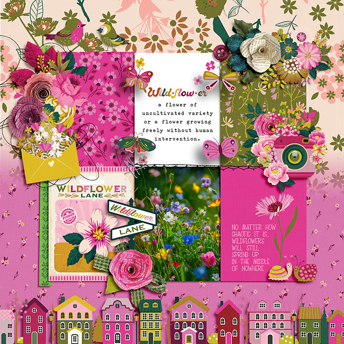 Wildflowers