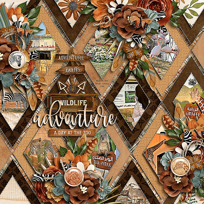 wildlife adventure