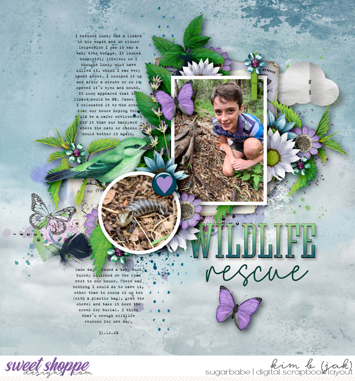 Wildlife Rescue