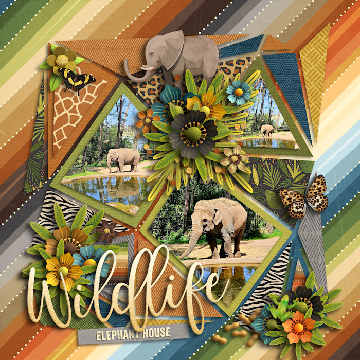 Wildlife